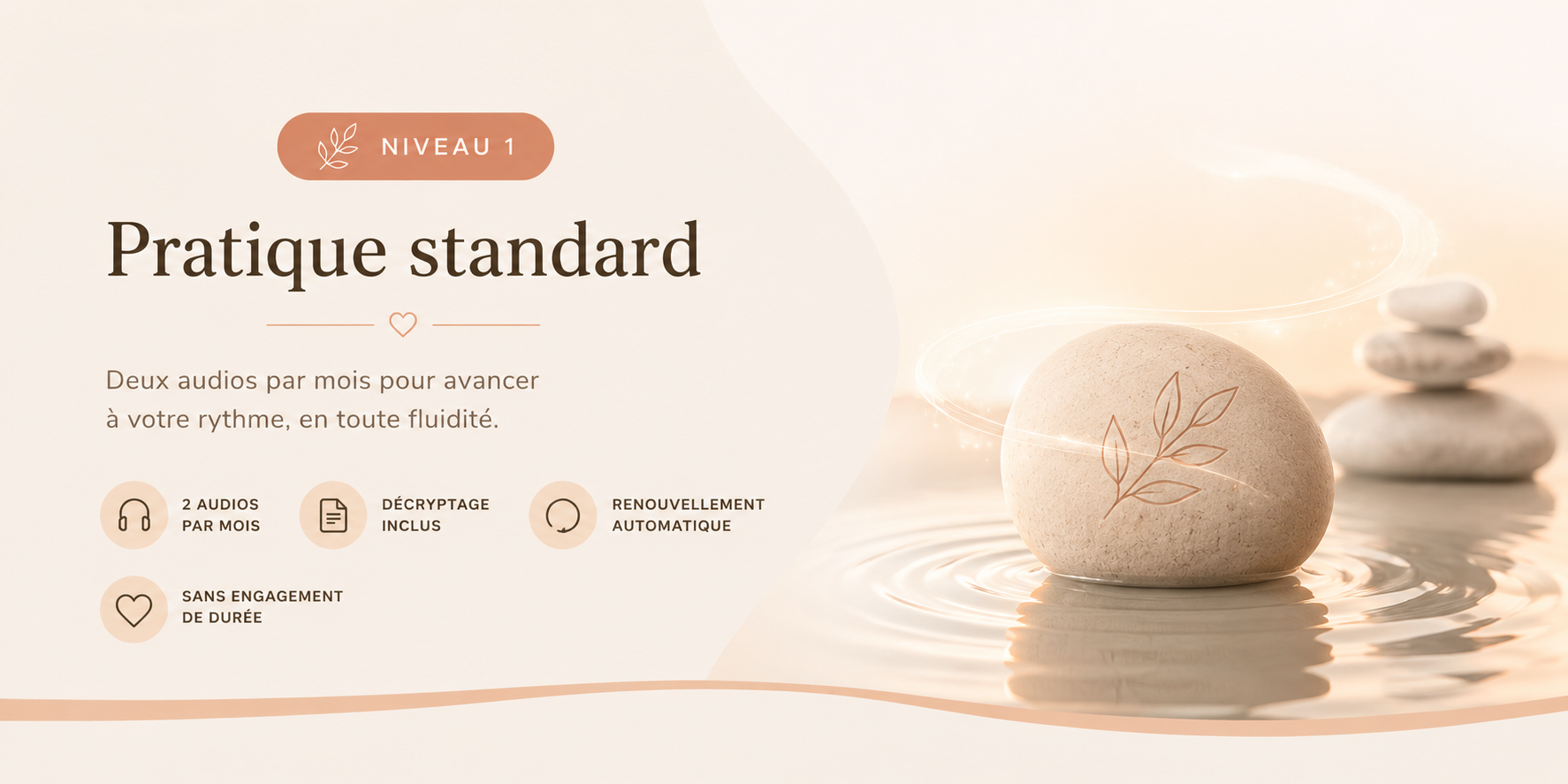 Pratique Standard — Réalignement Neurofertile